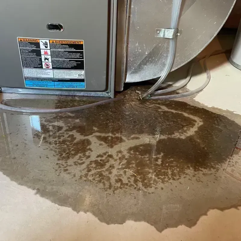 Appliance Leak Cleanup in Logan County, IL